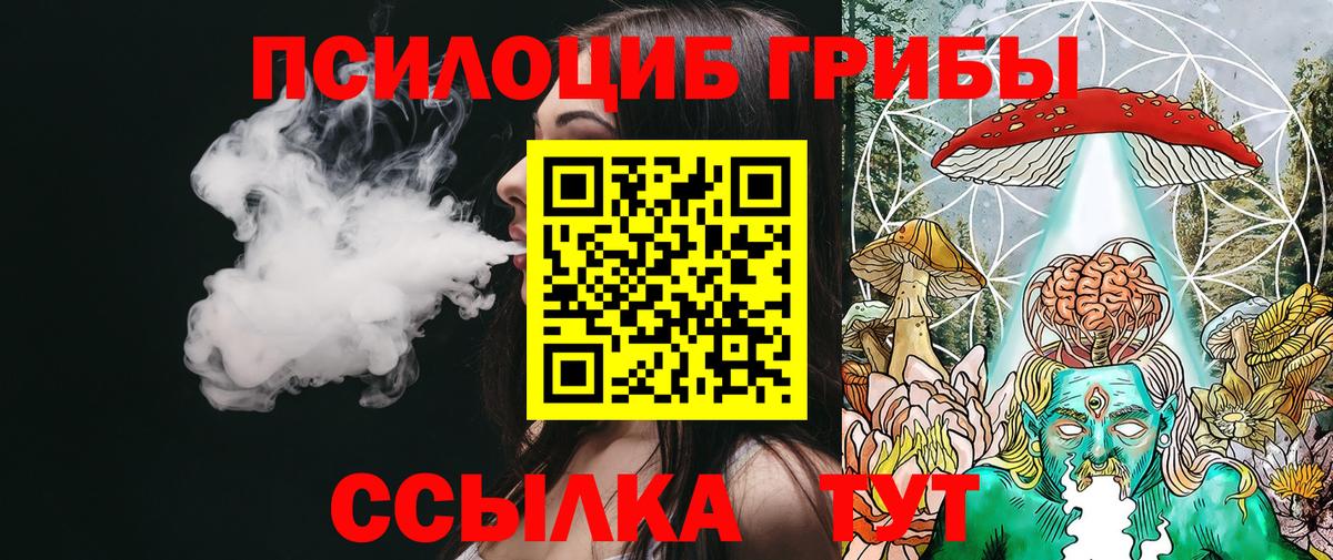 Галлюциногенные грибы GOLDEN TEACHER  Вход с VPN  где можно купить   Славгород 