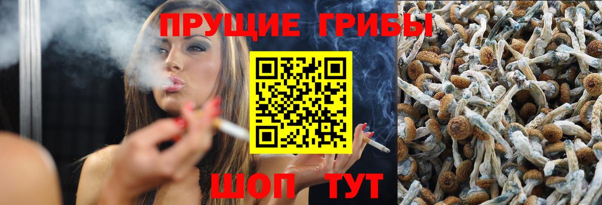 Псилоцибиновые грибы GOLDEN TEACHER Славгород