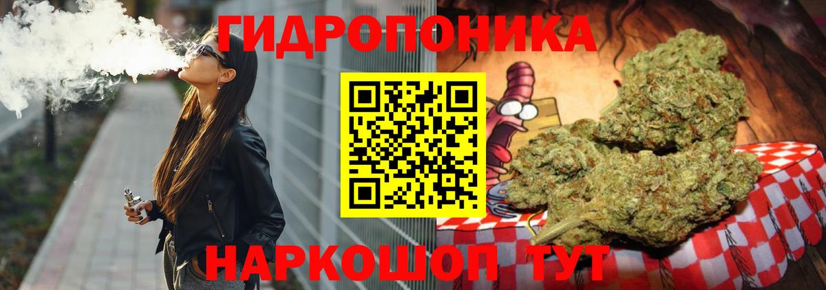 Бошки Шишки план Славгород